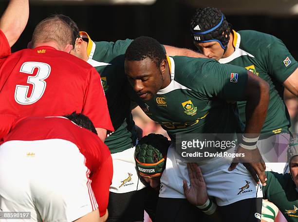 Tendai Mtawarira of South Africa packs down against Phil Vickery during the First Test match between the South African Springboks and the British and...
