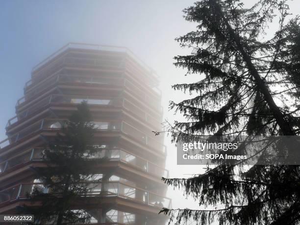 The viewing deck seen being covered by morning mist. In Tatra mountains in Slovakia, in Bachledova valley, a treetop walk was opened in September...