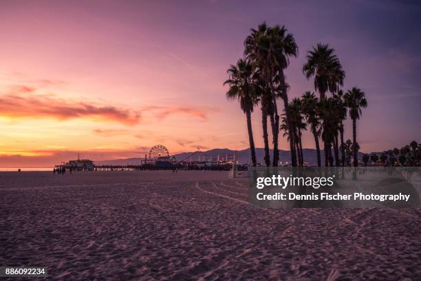 california sunset at the beach - santa monica 個照片及圖片檔