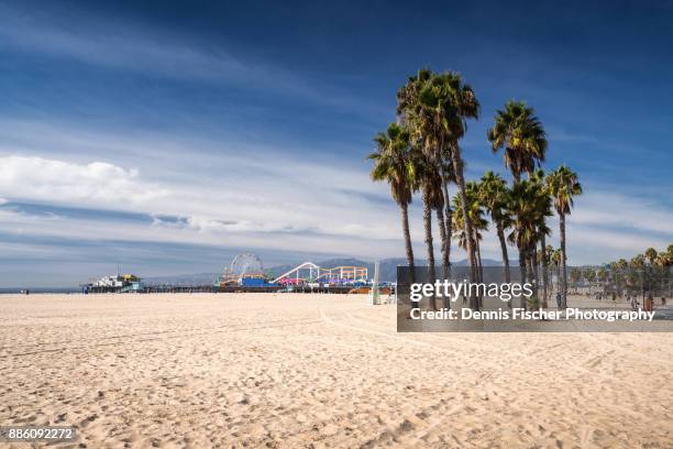 california beach in santa monica - santa monica 個照片及圖片檔