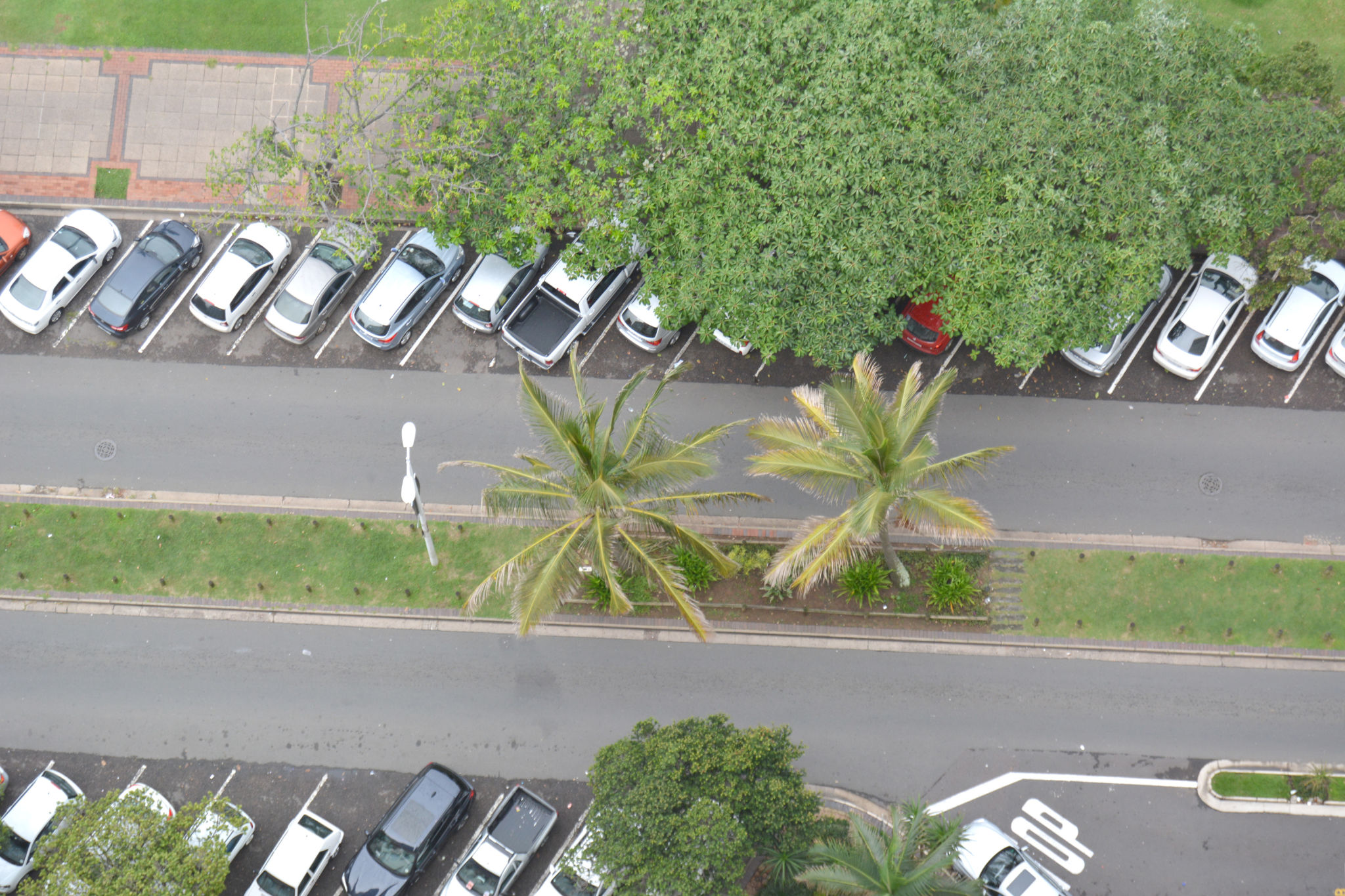 luxury car durban