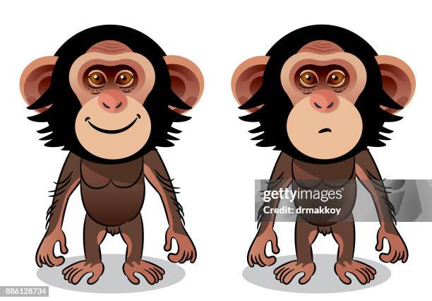 chimpanzee - forest south africa stock illustrations