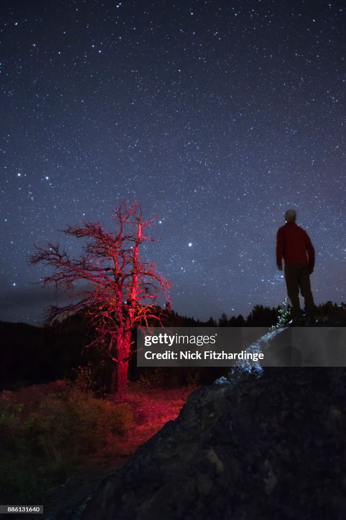 A lone figure at night on the summit of Pincushion mountain with a red light painted tree, British Columbia, Canada