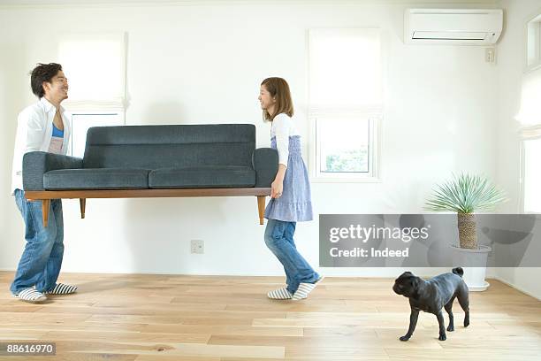 young couple carrying sofa, dog is looking at them - side view carrying stock-fotos und bilder