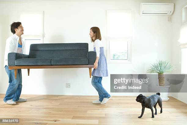 young couple carrying sofa, dog is looking at them - carrying sofa stock pictures, royalty-free photos & images