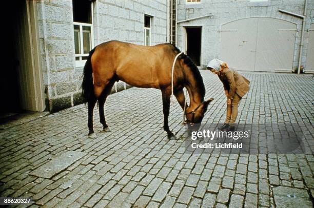 Stableyard Royal Stable Photos and Premium High Res Pictures - Getty Images