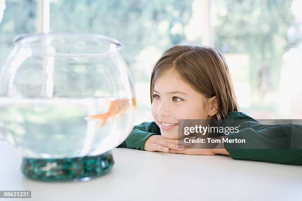 girl looking at goldfish in bowl - goldfish bowl stock pictures, royalty-free photos & images