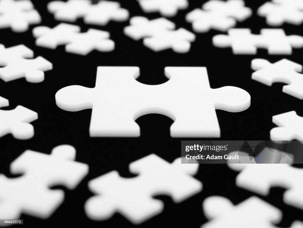 Large puzzle piece surrounded by smaller ones