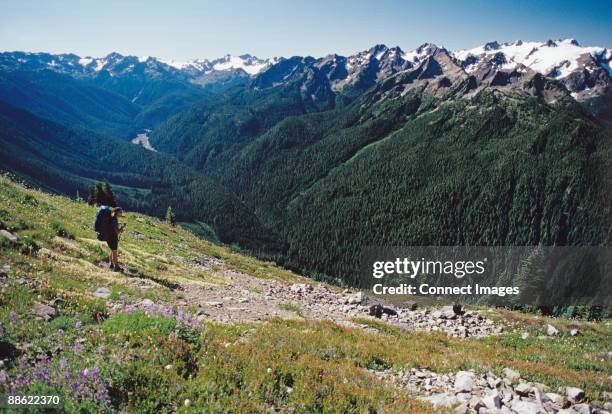 backpacker on bailey traverse - mount-olympus-olympic-national-park stock pictures, royalty-free photos & images