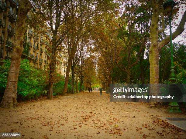 walking in the autumn of paris - adalbertop stock pictures, royalty-free photos & images