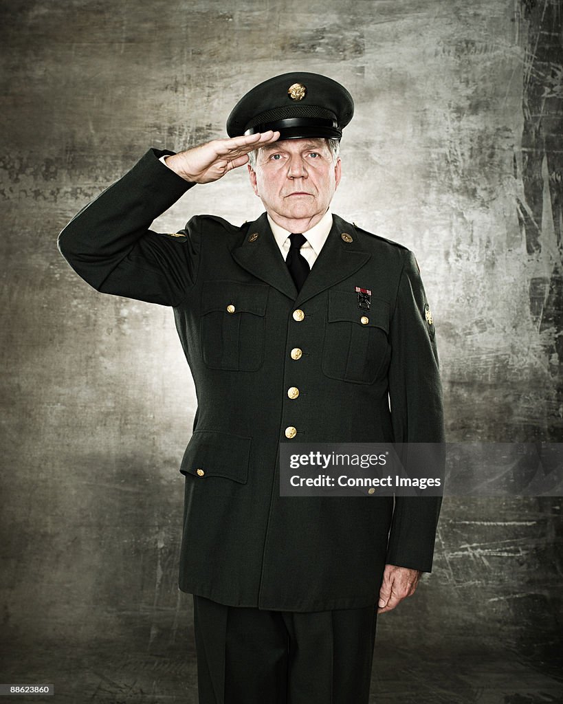 Profile of a soldier saluting