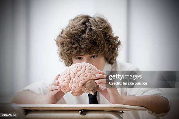 boy with model brain - 15 year old model stock pictures, royalty-free photos & images