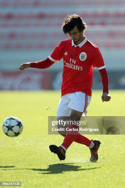 Benfica midfielder Joao Felix from Portugal during SL Benfica v FC Basel 1893 - UEFA Youth League round six match at Caixa Campus on December 05,...