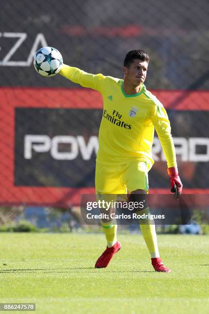 Benfica goalkeeper Daniel Azevedo from Portugal during SL Benfica v FC Basel 1893 - UEFA Youth League round six match at Caixa Campus on December 05,...