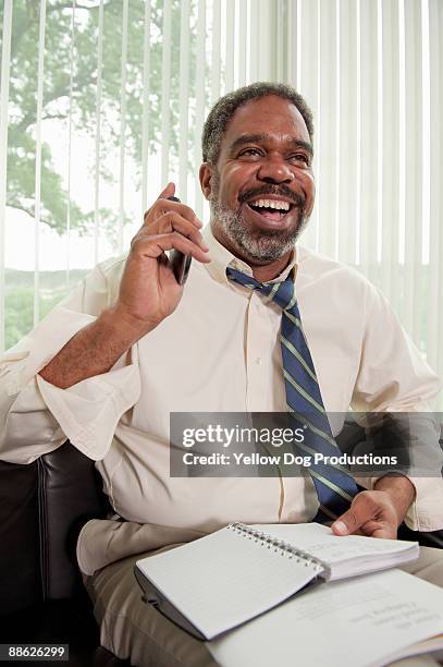 businessman in office talking on cell phone - department of interior holds a take your dog to work day stock pictures, royalty-free photos & images