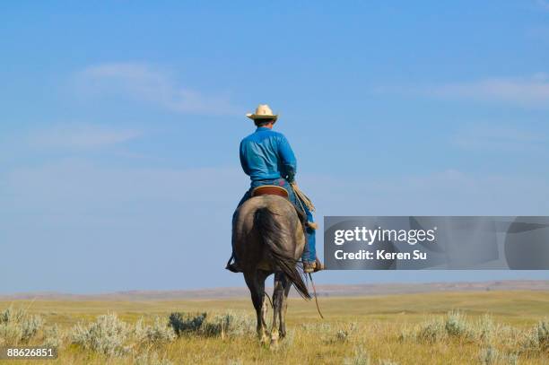 cowboy riding on horse on the ranch - man on horse back stock pictures, royalty-free photos & images