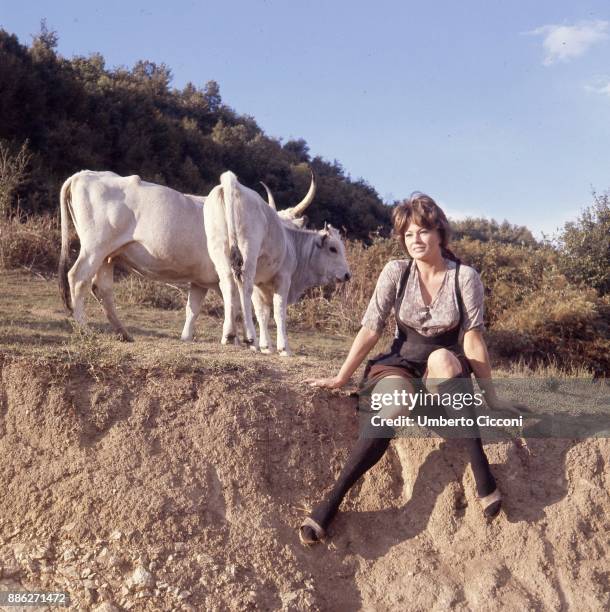 Actress Anita Ekberg during the shooting of 'Bianco, rosso, giallo, rosa', Italy 1964.