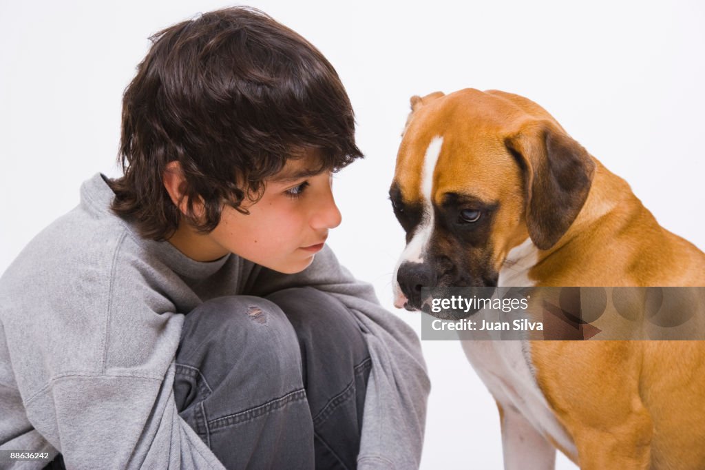 Boy looking at boxer dog