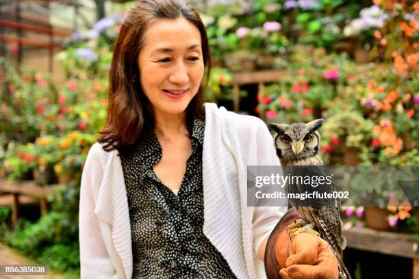 117点のアフリカオオコノハズクのストックフォト Getty Images 117点のアフリカオオコノハズクのストックフォト Getty Images