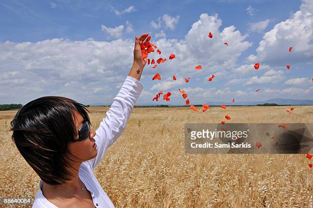 woman throwing poppy petals on wheat field - stehmohn stock-fotos und bilder