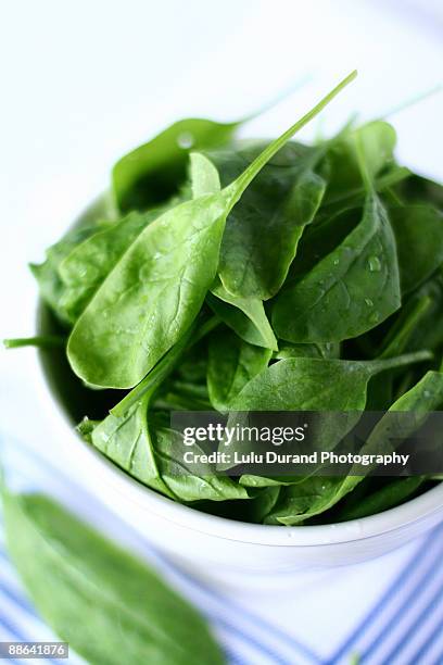 baby spinach - fresh baby spinach stock-fotos und bilder