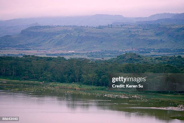 landscape of lake nakuru - lake nakuru stock pictures, royalty-free photos & images