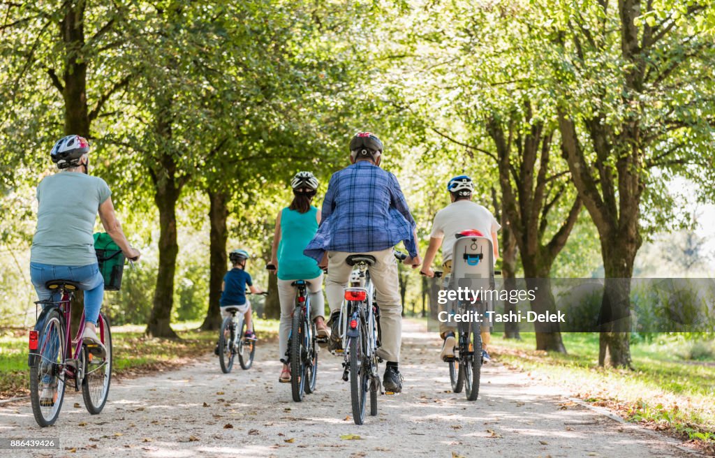 Family Cycling Together Through Park