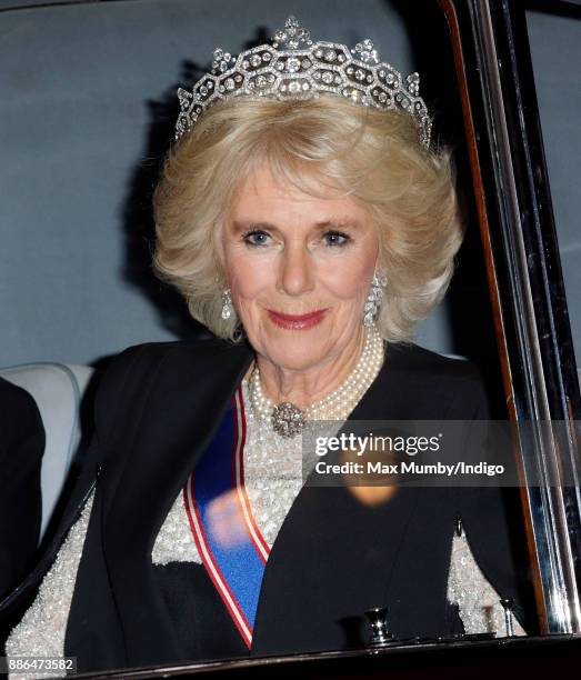 Camilla, Duchess of Cornwall attends the annual Diplomatic Reception at Buckingham Palace on December 5, 2017 in London, England.