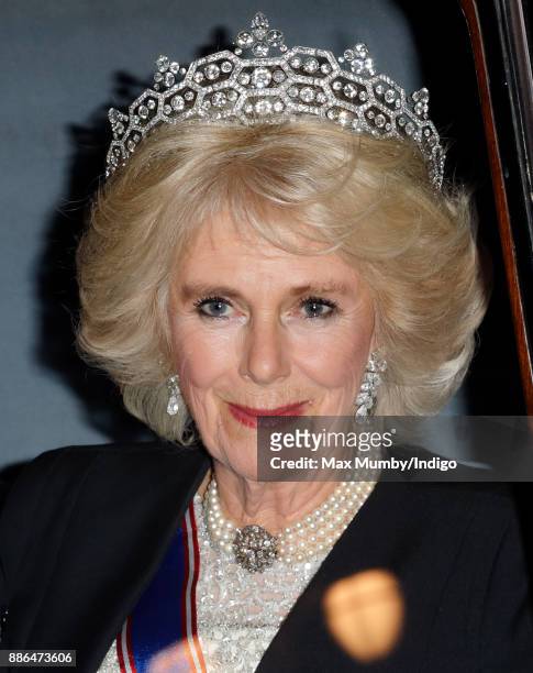 Camilla, Duchess of Cornwall attends the annual Diplomatic Reception at Buckingham Palace on December 5, 2017 in London, England.