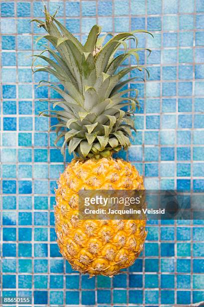 pineapple on blue tile  - the cayes stock pictures, royalty-free photos & images
