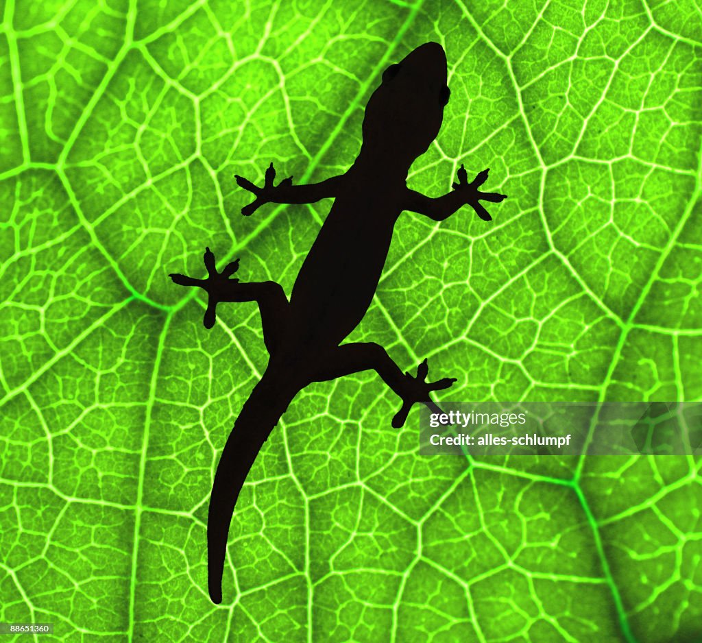 It?s a beautiful day!