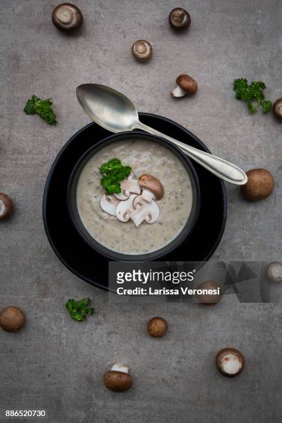 creme of mushroom soup - larissa veronesi stockfoto's en -beelden