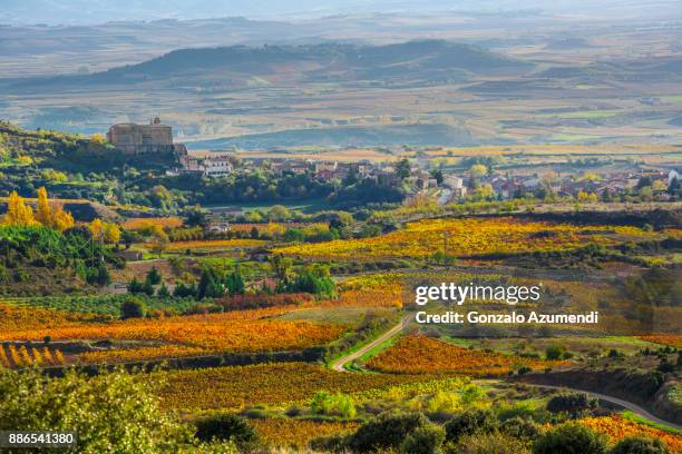 landscapes and vineyards in rioja alavesa. - alava province stock pictures, royalty-free photos & images