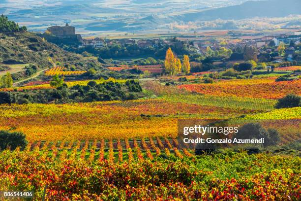 landscapes and vineyards in rioja alavesa. - comunidad autónoma de la rioja fotografías e imágenes de stock
