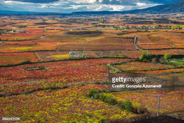 landscapes and vineyards in rioja alavesa. - alava stock-fotos und bilder