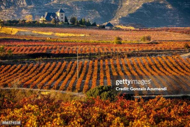 landscapes and vineyards in rioja alavesa. - comunidad autónoma de la rioja fotografías e imágenes de stock
