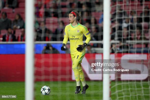 Benfica's goalkeeper Mile Svilar from Belgium during SL Benfica v FC Basel - UEFA Champions League round six match at Estadio da Luz on December 05,...