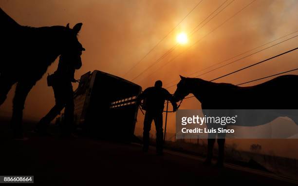 Officers evacuate a pair of horses as the Creek Fire burns along Foothill Boulevard in Sylmar on Tuesday, Dec. 5, 2017. The fire started at about...