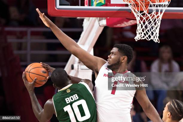 Bob Harness Razorbacks 266 Che Bob Stock Photos, High-Res Pictures, and Images - Getty Images