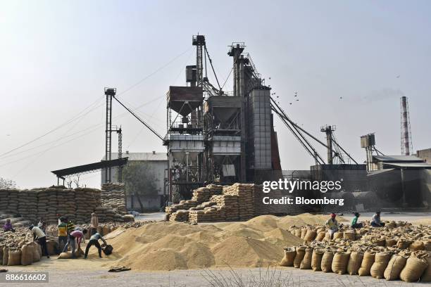 Workers pack wheat into bags at a wheat packing plant on the outskirts of Ahmedabad, Gujarat, India, on Wednesday, Nov. 22, 2017. The ascent of less...