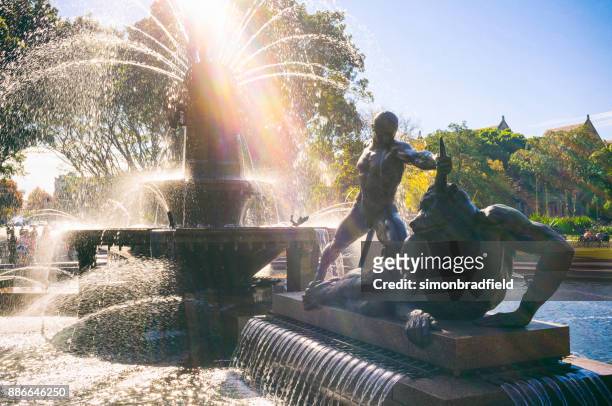 der archibald-springbrunnen, sydney - archibald fountain stock-fotos und bilder