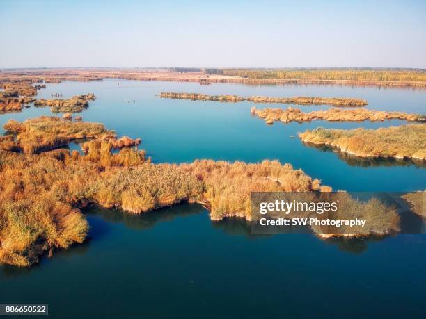 Bayan Nur Photos and Premium High Res Pictures Getty Images