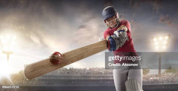 de vrouwelijke batsman cricket op een professionele arena - cricket bat stockfoto's en -beelden