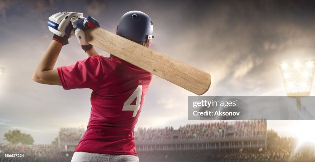 Cricket female batsman on a professional arena