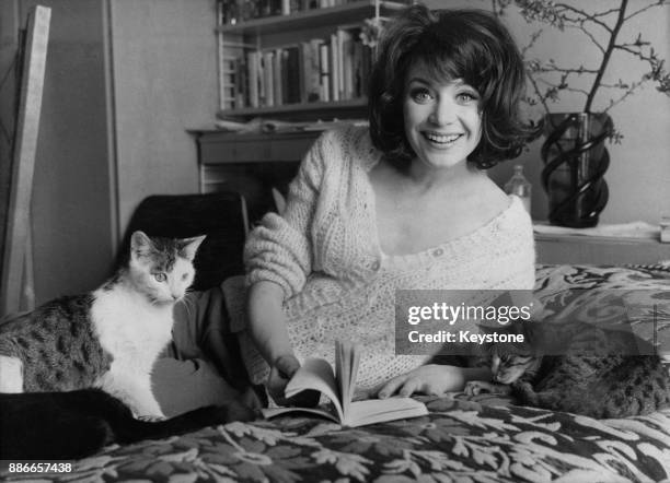 22 Birke Bruck Stock Photos, HighRes Pictures, and Images Getty Images