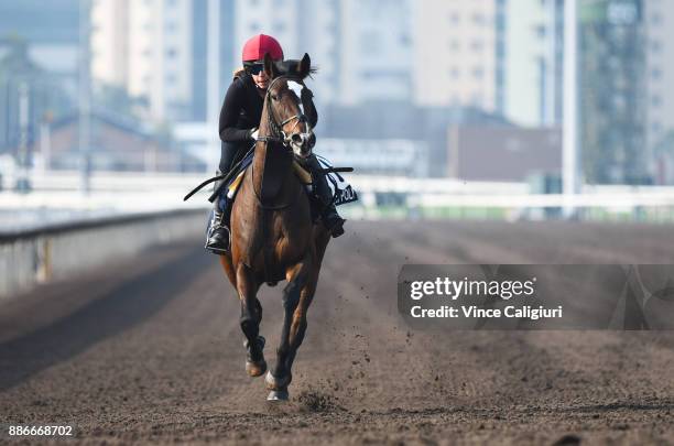 Roly Poly from Team Ballydoyle during a Longines Hong Kong International Trackwork Session at Sha Tin racecourse on December 6, 2017 in Hong Kong,...