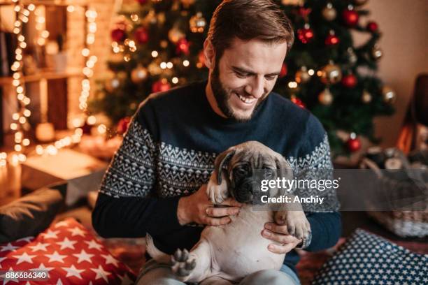 hombre guapo sonriente y con lindo perrito delante de un árbol de navidad - bull mastiff fotografías e imágenes de stock