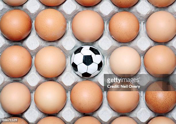 studio shot of small football among eggs on egg tray, grahamstown, eastern cape province, south africa - grahamstown stock pictures, royalty-free photos & images
