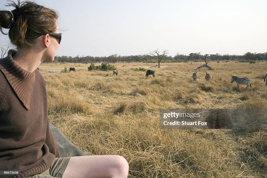 Profile view of a young woman observing wildebeest (Connochaetes taurinus) and zebra (Equus quagga), Okavango Delta, Botswana