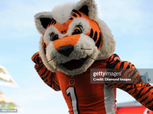 Cincinnati Bengals mascot Who Dey leads the crowd in a cheer in the fourth quarter of a game on November 26, 2017 against the Cleveland Browns at...